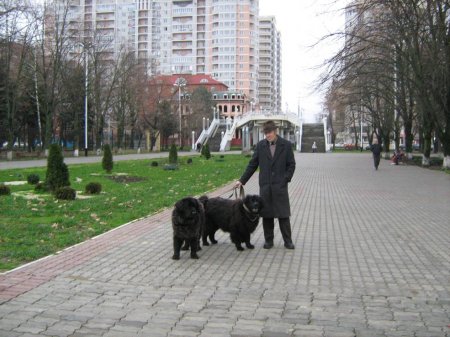 Вот такая зима... Вот такая зима...