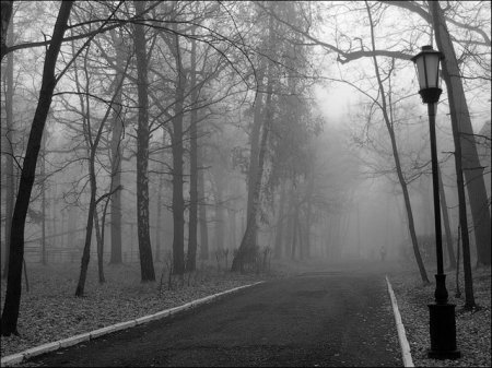 Чёрная осень. Чёрная осень.