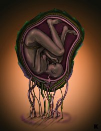 �������. ������ 1